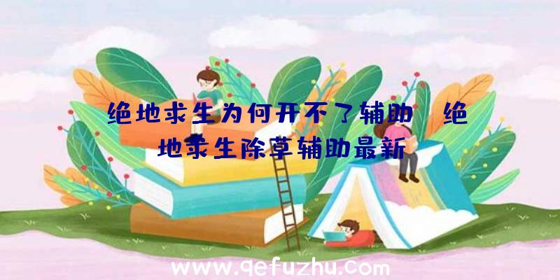 「绝地求生为何开不了辅助」|绝地求生除草辅助最新